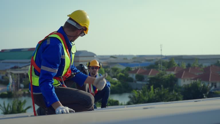 Best Roof Moss and Algae Removal  in Galena, KS